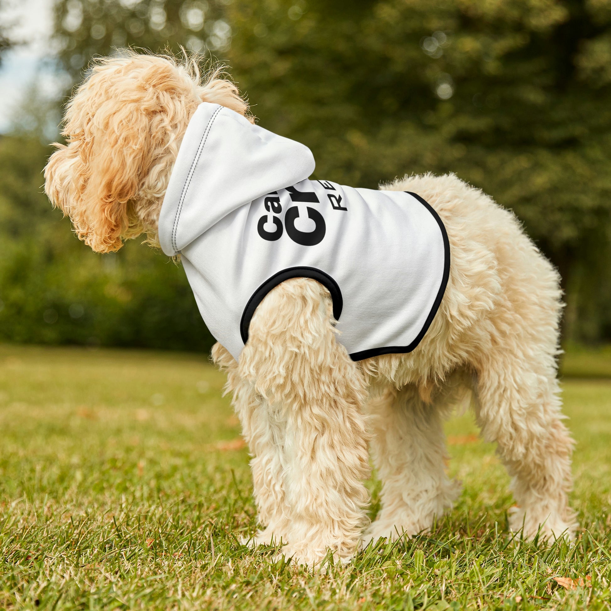 dog hoodie context image outside