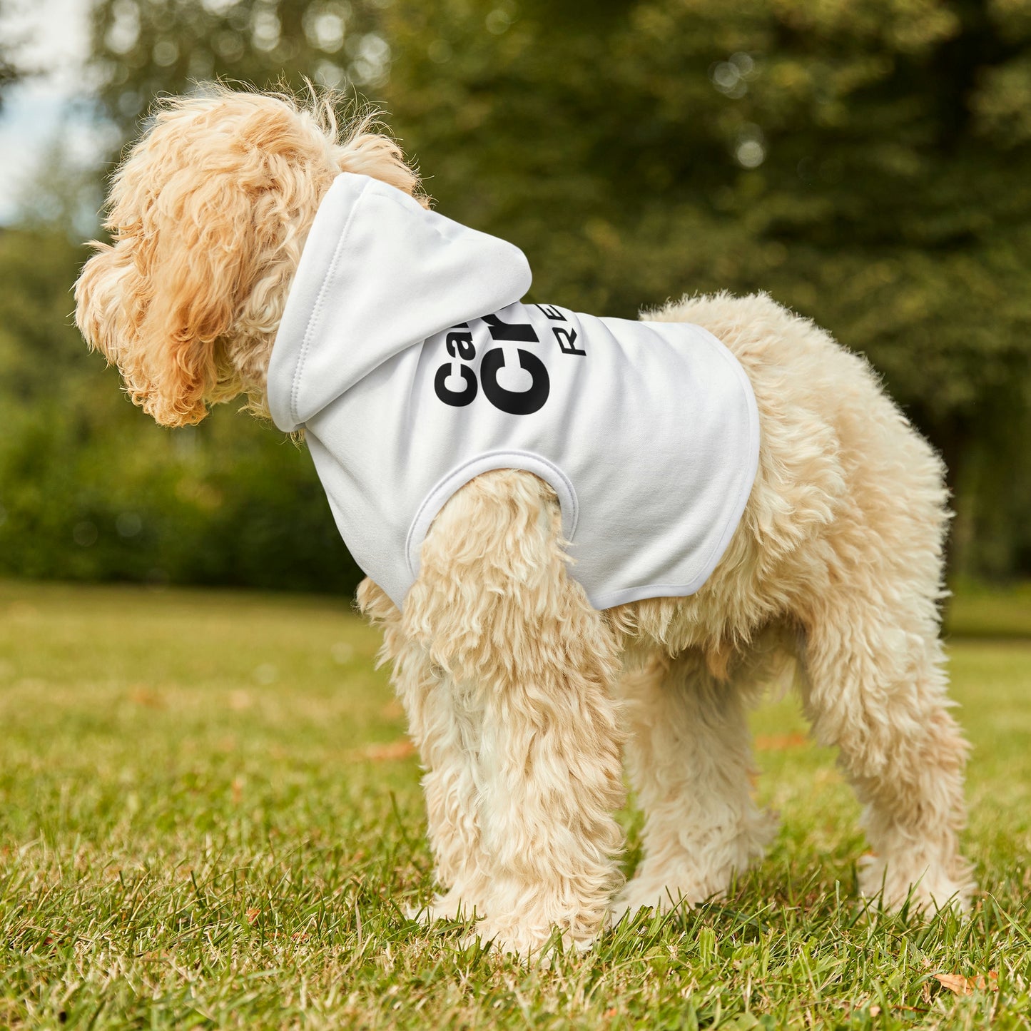 dog hoodie context image outside