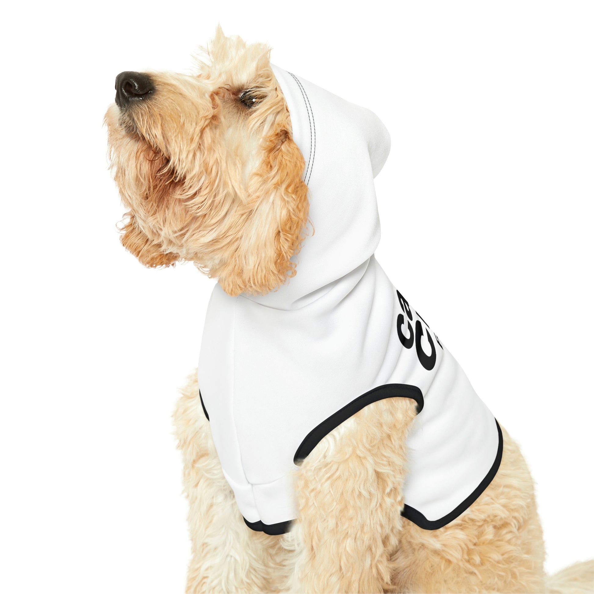 dog hoodie context image